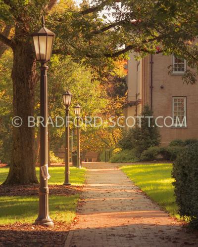 Three Lampposts