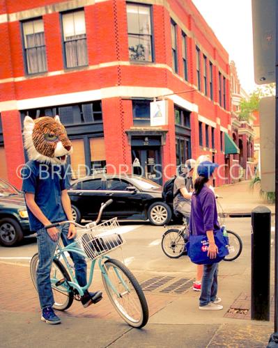 Tiger Bike