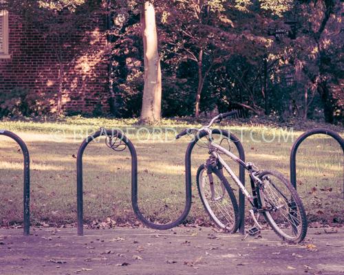 Parked Bicycle